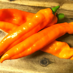 orangefarbene Spitzpaprika