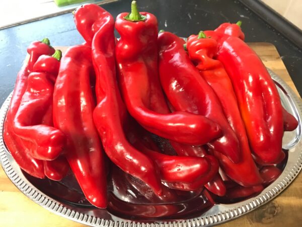 Rote Spitzpaprika mit natürlicher Braunfärbung