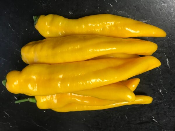 gelbe Spitzpaprika - Image 4