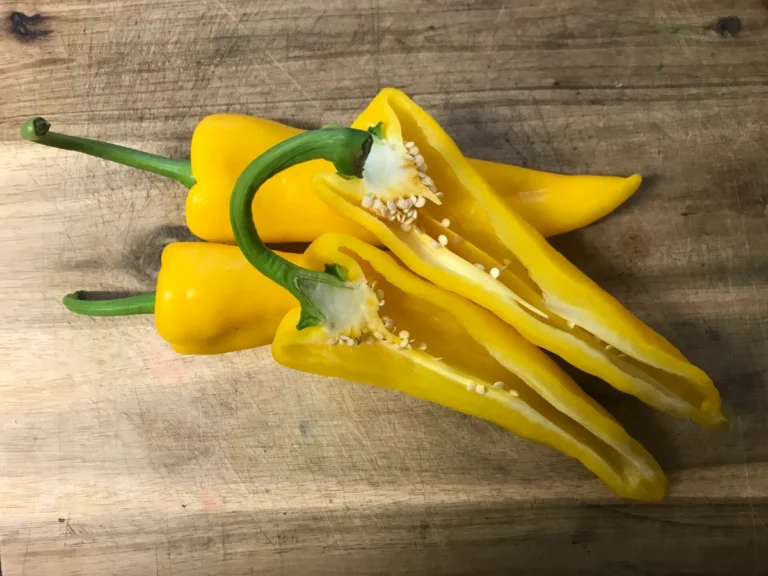 Spitzpaprika