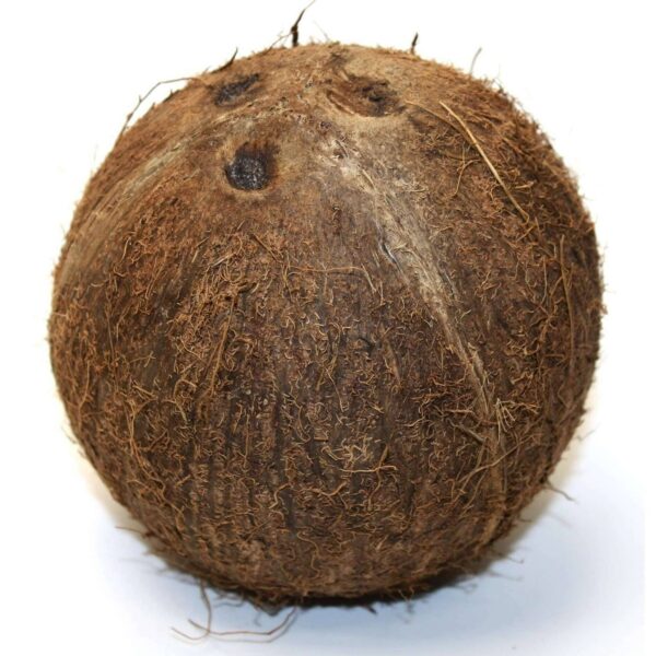 Kokosnuss – Frische Tropenfrucht für Küche, Snack & Drink - Image 2
